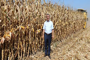 Sağlam Anız Yakmak Toprağımızın Geleceğini Yakmaktır