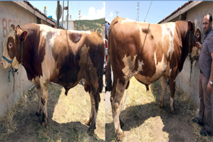 28 bin TL ye Alıcı Bekliyor