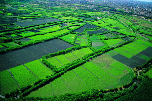 Hevsel Bahçeleri nde 8 Bin Yıldır Tarım Yapılıyor