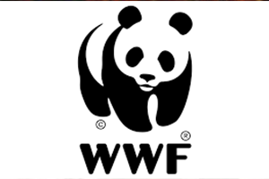 Bugünden İtibaren Doğaya Borçluyuz