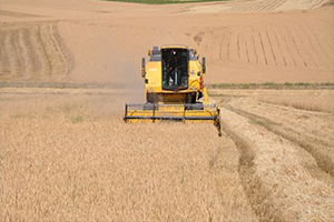 FAO Gıda Fiyat Endeksi Temmuz da Yükselişini Sürdürdü