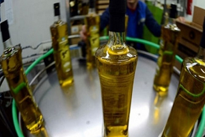 ABD ye Zeytinyağı İhracatı 9 Kat Arttı