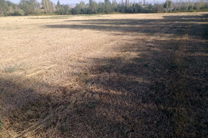 Tuzluca da Kuraklık