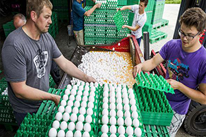 Almanya Tarım Bakanı 12 Eyallette Tespit Edildi