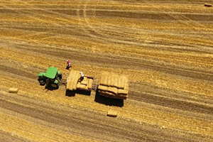 Tarım Alanlarının Yüzde 8 2 sini Kaybettik