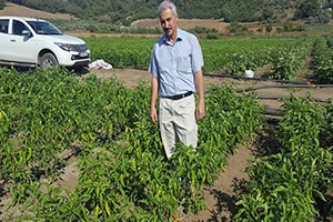 Sebze Üretimini Geliştirme Projesi nde 24 Çiftçiye Destek Verildi