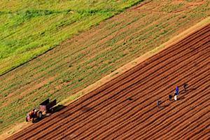 Terk Edilen Tarım Arazileri Ekonomiye Kazandırılsın