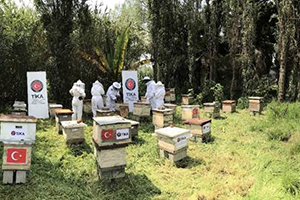 Tika dan Meksikalı Bal Üreticilerine Koruyucu Ekipman Desteği