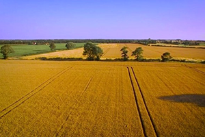 Fakıbaba Gıdamızı Tek Başımıza Üreteceğiz