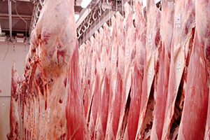 Bakan Fakıbaba 3 Yıl İçinde Et İthal Etmeyen Ülke Haline Geleceğiz