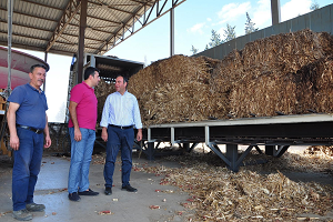 Tarımsal Atıklar Enerjiye Dönüşüyor