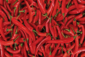 Ekinci 2 Milyon Dolarlık Yatırım Planlıyoruz