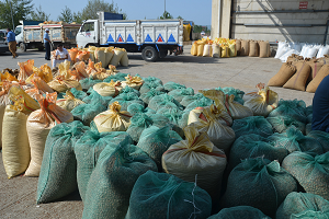 Tercih Edilen TMO Oldu