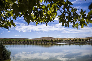 Badem Dikip Burs Biçiyorlar