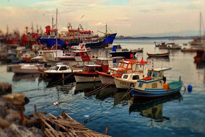 Bakanlık tan Balıkçılık Destekleri İle İlgili Açıklama