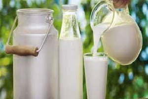 Bayraktar Çiğ Süt Fiyatları Derhal Artırılmalı
