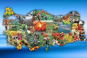 Bayraktar dan İstihdam Açıklaması