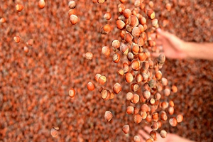 İhracatta En Fazla Satış Almanya ya