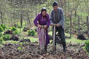 Bayraktar Kırsal Nüfus Kaybında İlk 10 dayız