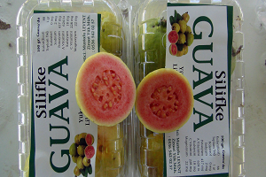 Kansere Karşı Yerli Üretim Yeni Ürün