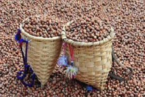 TMO ve FİSKOBİRLİK Anlaştı