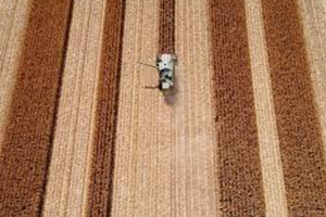 Beyaz Et Sektörü Büyüdü Mısır Üretimi Yüzde 81 Arttı