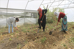 Devlet Desteğiyle Kurduğu Sera İle 5 Çocuğuna Tek Başına Bakabiliyor