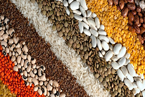 1 3 Milyar Dolarlık Gıda İhracatı