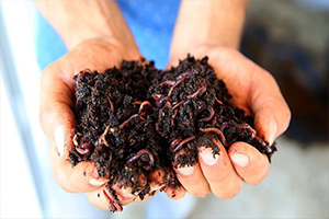 Olumsuzluklara Rağmen Başarıya Ulaştı