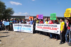 Balık Ölümlerine Karacabeyli den Protesto