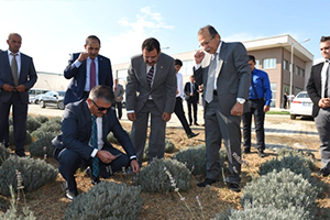 Çiftçilerin Kazançları Büyükşehir ile Arttırıyor