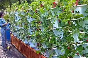 TİKA dan Gıda ve Yaşam Güvenliğini Destekleme Programı