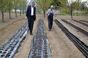 Üretim Maliyetini Azaltacak Mucize Bitki