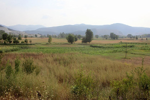 Tarım Bankacılığı İle Atıl Tarım Arazisi Kalmayacak