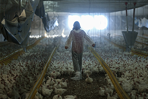 900 Bin Lira Hibe Aldık