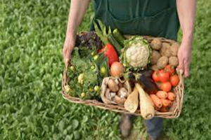 Organik Tarım Kısa Sürede Türkiye de Yer Tutacak