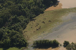 Harvey Kasırgasının ABD ye Maliyeti 180 Milyar Dolar