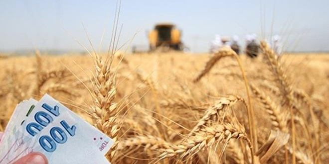 Tarım Ürünlerini Destekleme Politikaları