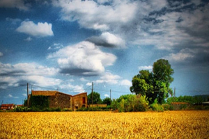 Tkdk dan Yeni Destek