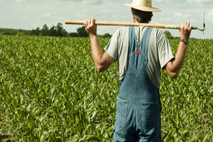 Tarım ve Gıdada Çalışmak İçin Uzmanlık Şartı