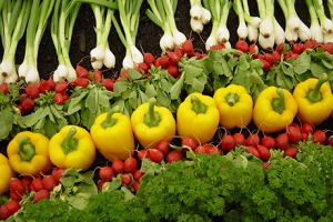 Güneydoğu Türkiye yi Ve Avrupa yı Besler