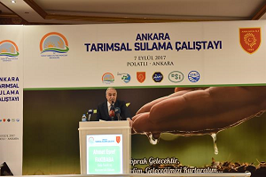 Türkiye de Fipronilli Yumurta Araştırmalarında Sonuç