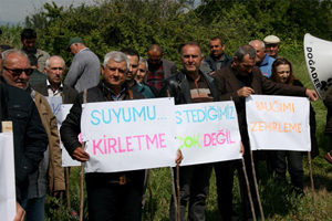 Zehirli Dereden Su İçen Oğlak Öldü! Köylüler İsyan Etti