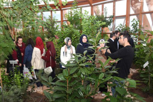 Tıbbi Ve Aromatik Bitki Yetiştiriciliği Çalışmaları Devam Ediyor