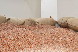 TSK Fındık Üreticilerini Sevindirdi