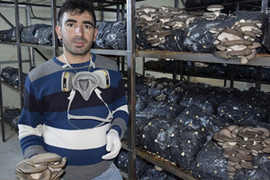 Evinin Banyosunda Başladığı Üretime 100 Metrekarelik Seraya Yaydı