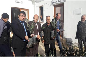 Yangından Zarar Gören Çiftçiye Zeytin Fidanı Dağıtıldı