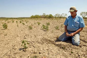 Tarım Ciddi Zarar Görecek