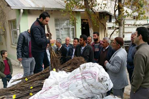 Meyveciliği Geliştirmek İçin 60 Bin Fidan Dağıtıldı