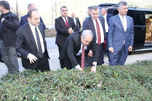 Çayda Organik Tarıma Geçeceğiz